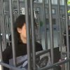 Протест срещу отглеждането на телета в клетки пред НС