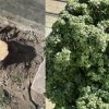 Трайков и Терзиев с още сеч в сърцето на София (Фотогалерия)
