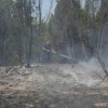 Отвориха оградите на ловно стопанство, за да избягат дивите животни от пожара в Сърбия