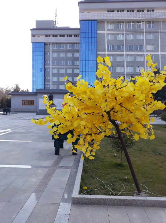 Самарканд