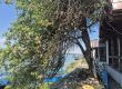 Безсмислено красив: Русе 