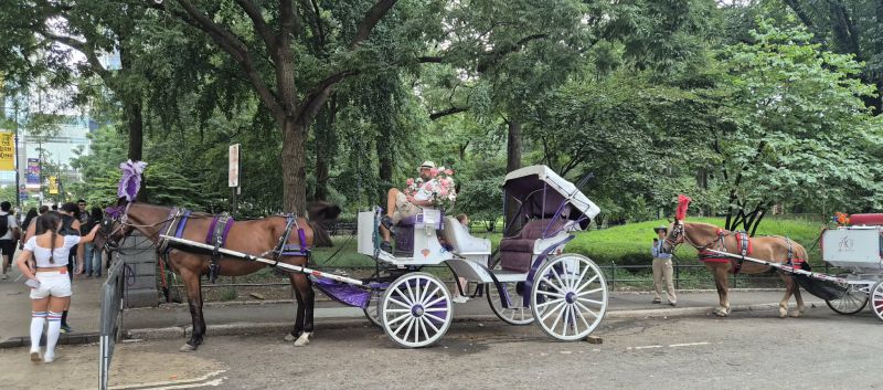 Сентръл парк
