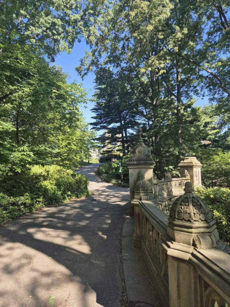 Сентръл парк