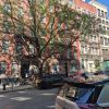 Hell’s Kitchen